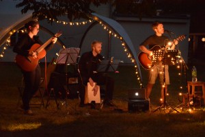 Konzert am Ochsenberg in Halle, 27.Juli 2015 © Daniel Meinhardt 